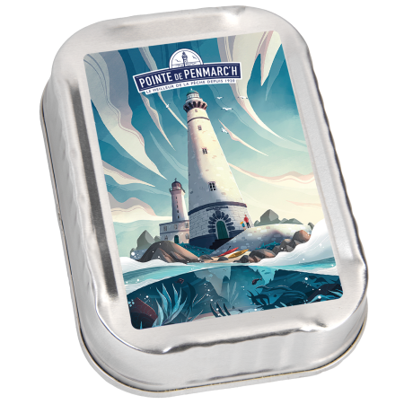 SARDINE - Sardine POINTE DE PENMARC'H