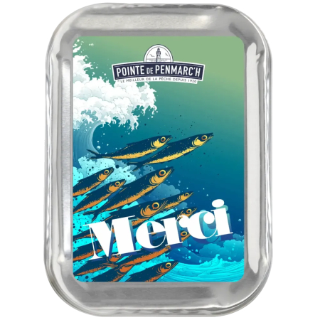 SARDINE - Sardine POINTE DE PENMARC'H