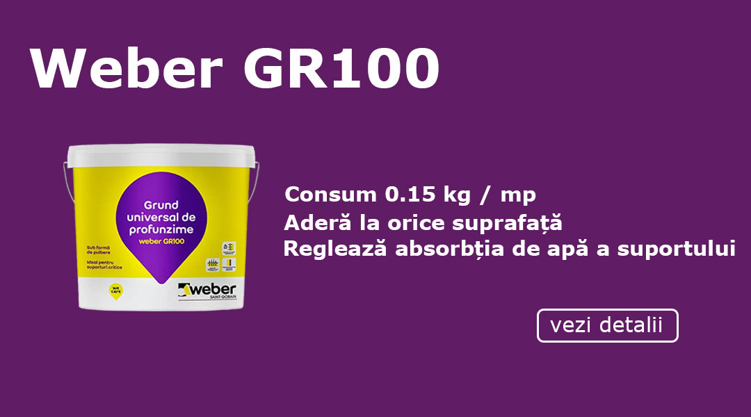 Weber GR100