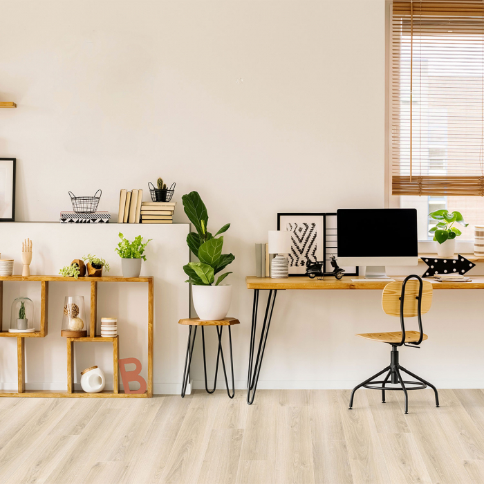 CADENZA V4 ALLEGRO LIGHT [3]