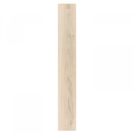 CADENZA V4 ALLEGRO LIGHT [1]