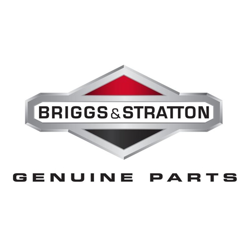 Piese Motoare Briggs & Stratton