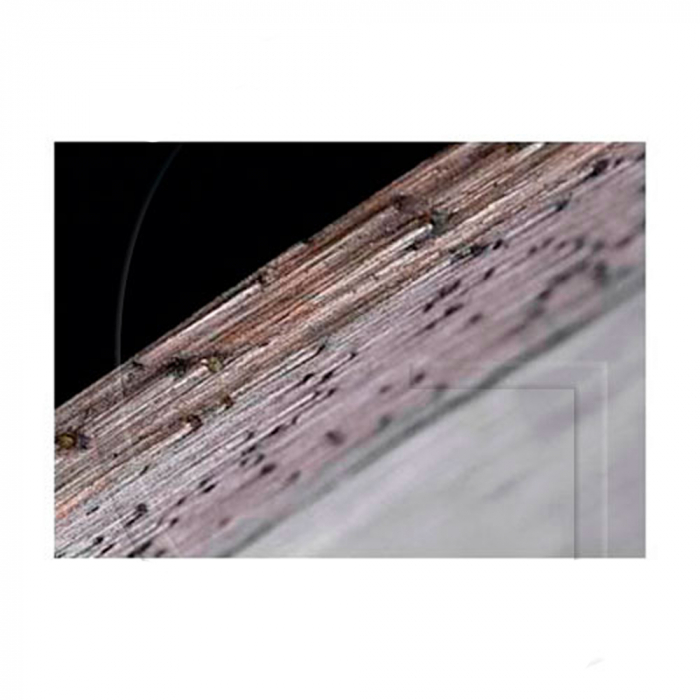 Disc diamantat pentru beton Red Mountain [3]