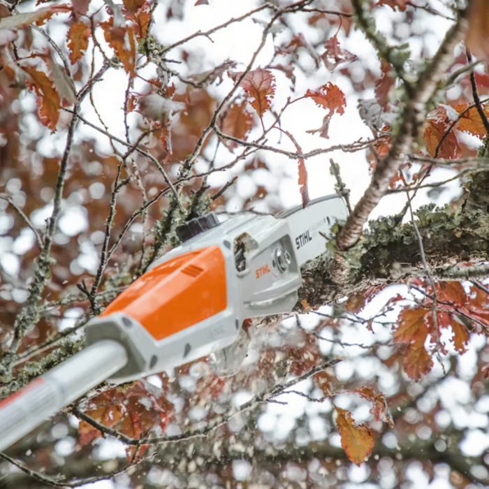 Emondor de inaltime pe acumulator Stihl HTA 50 SET, 36V, 0.8 kW, 25 cm, lungime totala 280 cm (cu AK 20 si AL 101) [7]