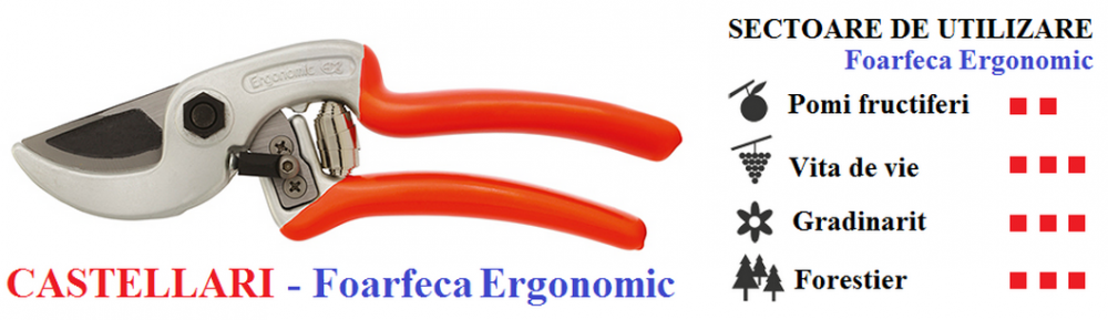 Foarfeca de mana Castellari Ergonomic, lungime 21 cm, ramuri max. 25 mm [2]