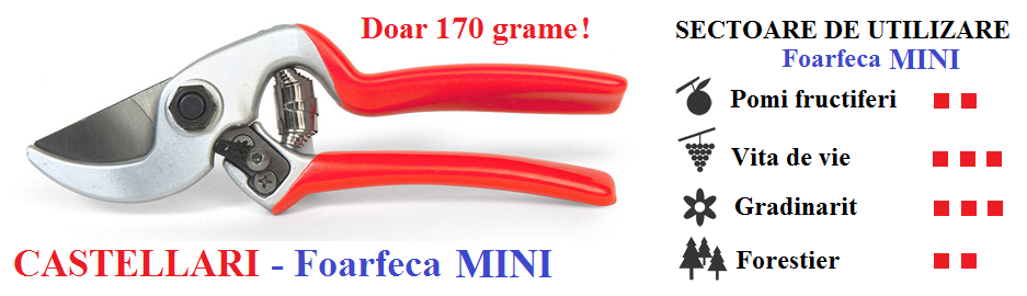 Foarfeca de mana Castellari Mini, lungime 19 cm, ramuri max. 22 mm [6]