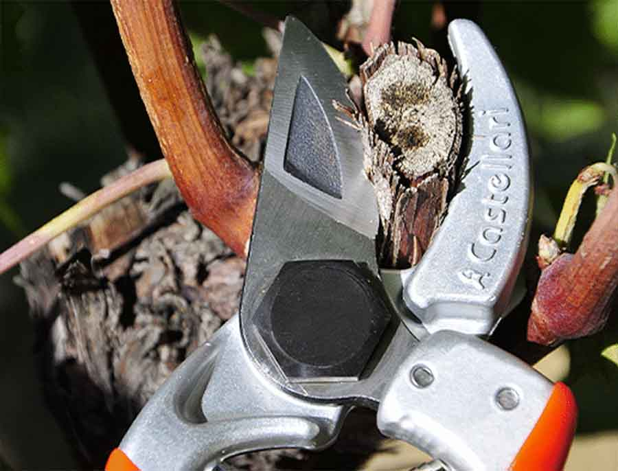Foarfeca de mana Castellari Mini, lungime 19 cm, ramuri max. 22 mm [3]