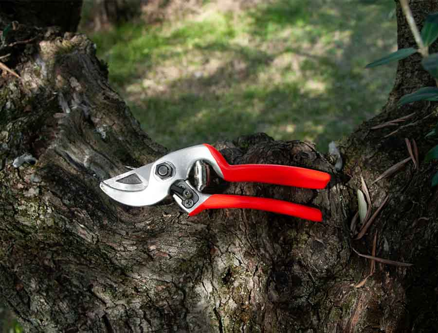 Foarfeca de mana Castellari Mini, lungime 19 cm, ramuri max. 22 mm [4]