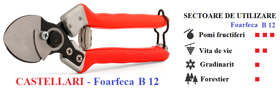 Foarfeca de mana cu dublu tais Castellari B12, lungime 21 cm, ramuri max. 25 mm [2]