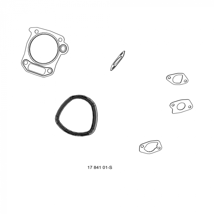 Kit garnitura chiulasa Kohler CH260, CH270 [2]