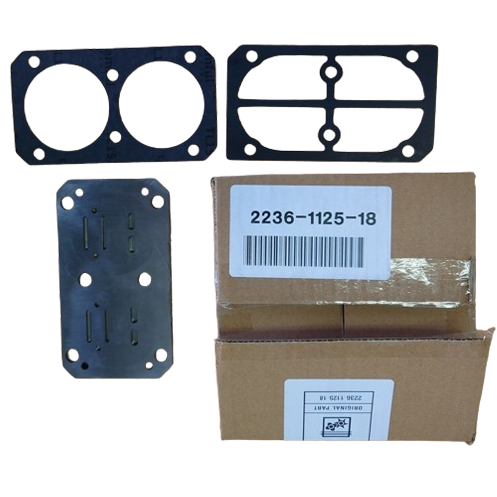 Kit placa supape compresor Abac A29, A29B, A39, A39B [2]