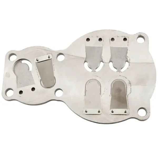 Kit placa supape pompa compresor Abac B4900 [3]