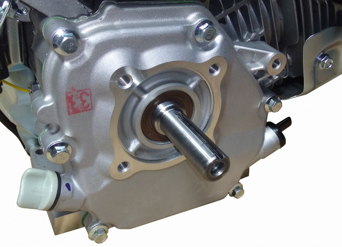 Motor benzina Lifan 168F-2, 6.5 CP, 196 cmc, ax pana 19 x 58 mm [3]