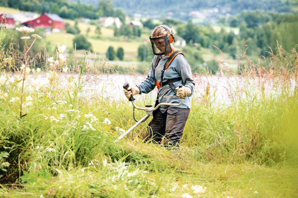 Motocoasa Stihl FS 240, 2.3 CP, 37.7 cmc, benzina, 2 timpi, ErgoStart [11]