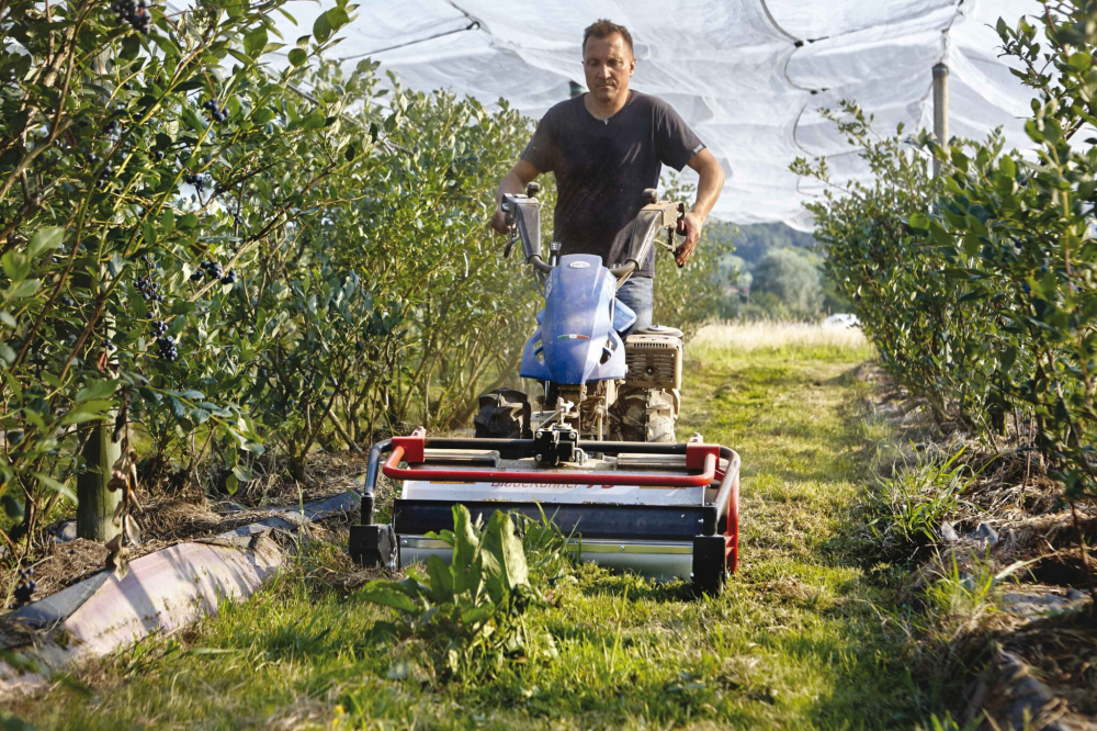 Motocultivator BCS 738 PowerSafe, motor Honda GX270, 9 CP [8]