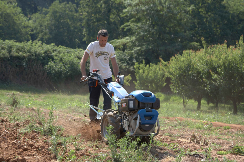 Motocultivator BCS 740 PowerSafe, motor Honda GX390 ALPIN, 13 CP [8]