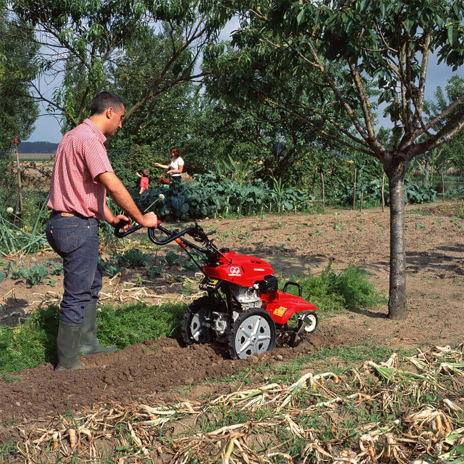 Motocultivator Honda FF300K1 DET2, 2 CP, benzina, latime lucru 41 cm, priza de putere, diferential [3]