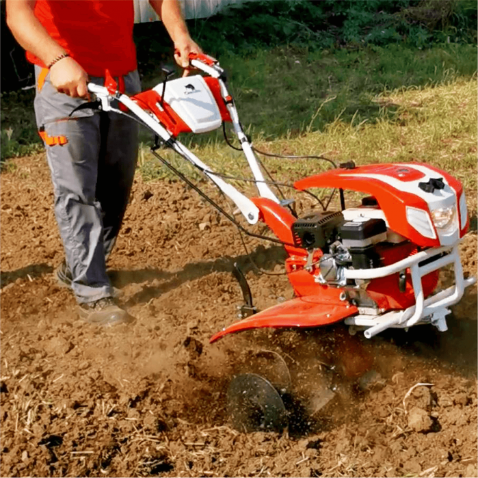 Motocultor Bisonte BTA-1000, 7 CP, benzina, 3 viteze + accesorii (Pachet 3) [15]