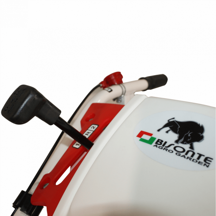 Motocultor Bisonte BTA-12SDE, 12 CP, diesel, 2+1 viteze, roti 5.00-12", far, priza de putere, pornire electrica [9]