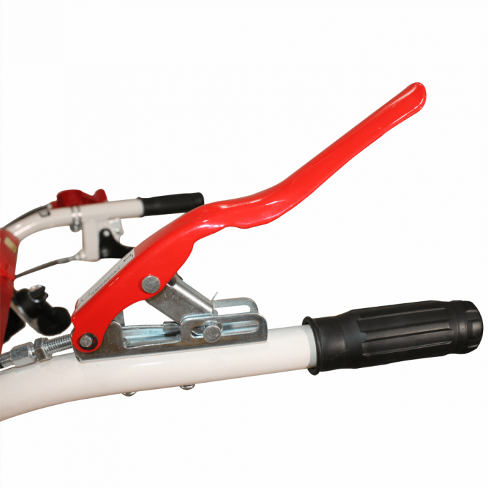 Motocultor Bisonte BTA-12SDE, 12 CP, diesel, 2+1 viteze, roti 5.00-12", far, priza de putere, pornire electrica [10]