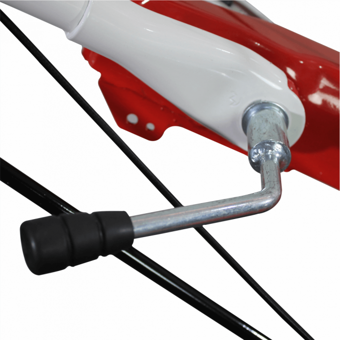 Motocultor Bisonte BTA-16SGE, 16 CP, benzina, 2+1 viteze + accesorii (Pachet 1) [8]