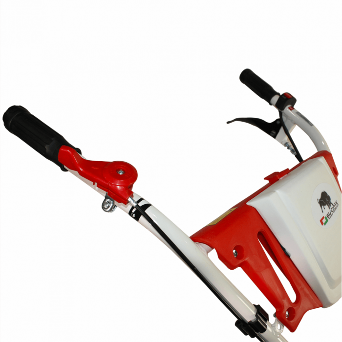 Motosapa Bisonte BTA-750, 7 CP, benzina, 2+1 viteze + accesorii (Pachet 2) [9]