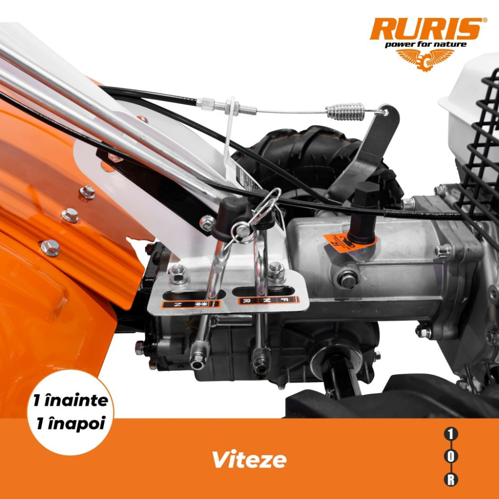 Motocultor Ruris 5900R, 7 CP, benzina, 1+1 viteze, freza tractata 64 cm, roti cauciuc 5.00-6 [4]