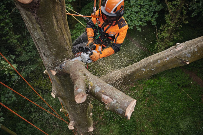 Motofierastrau cu acumulator Stihl MSA 220 TC-O, 36V, 2.1 kW, 35 cm, Solo (fara acumulator si incarcator) [5]