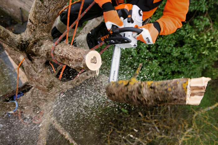 Motofierastrau pe benzina Stihl MS 201 TC-M, 2.4 CP, 35.2 cmc, 35 cm [3]