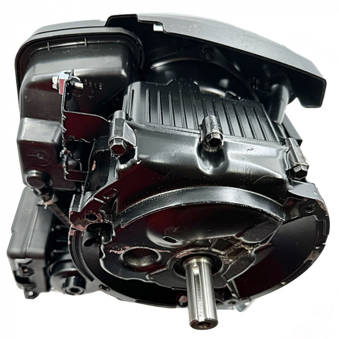 Motor benzina Briggs & Stratton 625 EXi, 150 cmc, ax cilindric 22.2 x 52/62 mm (pentru motosape) [5]