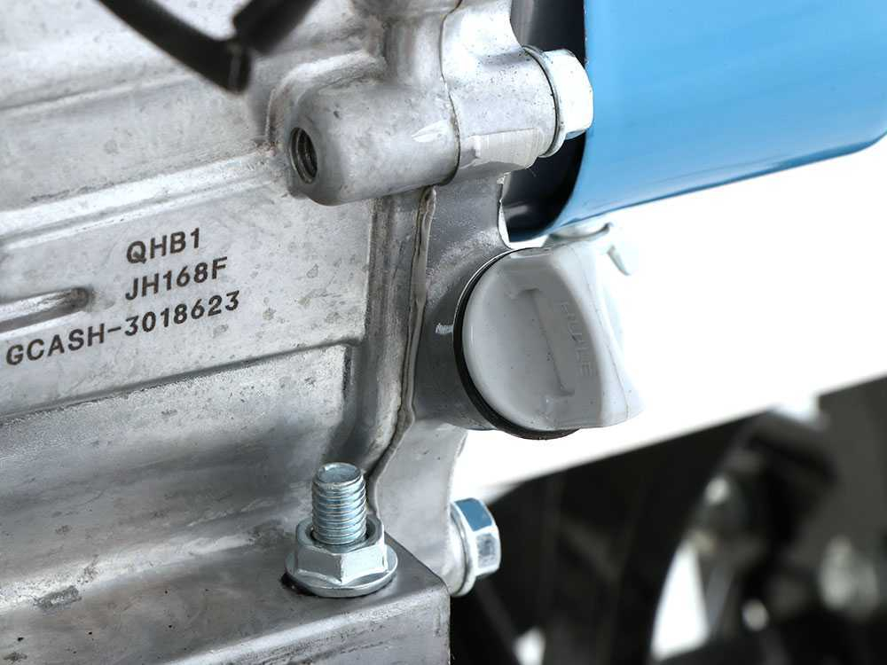 Motosapa AGT 6500 PREMIUM, Honda GP200, 6.5 CP, benzina, 2+1 viteze + roti 4.00-8, plug bilonat [39]