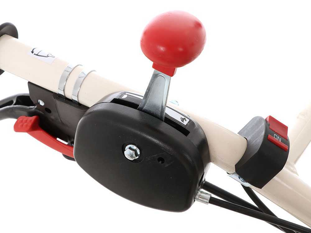 Motosapa AGT 6500 PREMIUM, Honda GP200, 6.5 CP, benzina, 2+1 viteze + roti 4.00-8, plug bilonat [30]