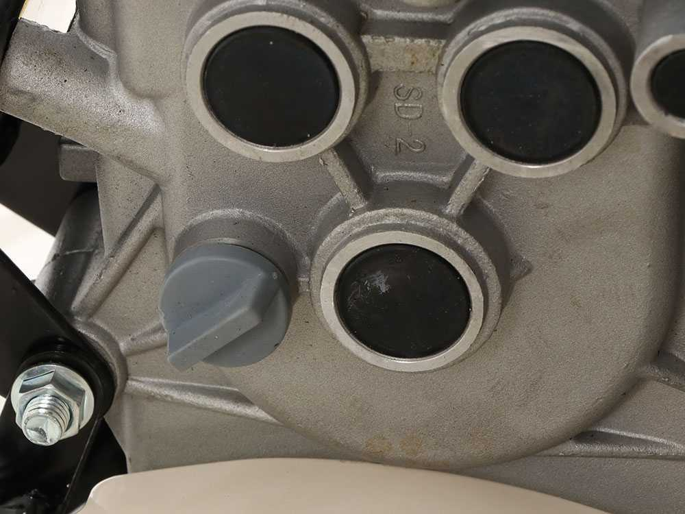 Motosapa AGT 6500 PREMIUM, Honda GP200, 6.5 CP, benzina, 2+1 viteze + roti 4.00-8, plug bilonat [26]
