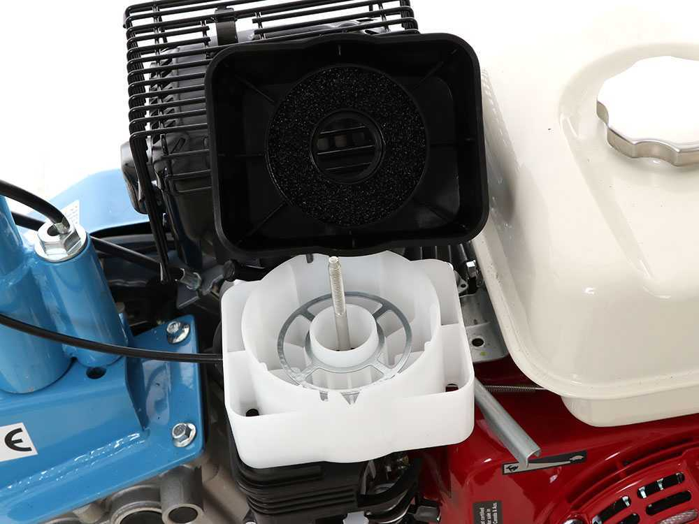 Motosapa AGT 6500 PREMIUM, Honda GX160, 5.5 CP, benzina, 2+1 viteze + roti 4.00-8, plug bilonat [51]