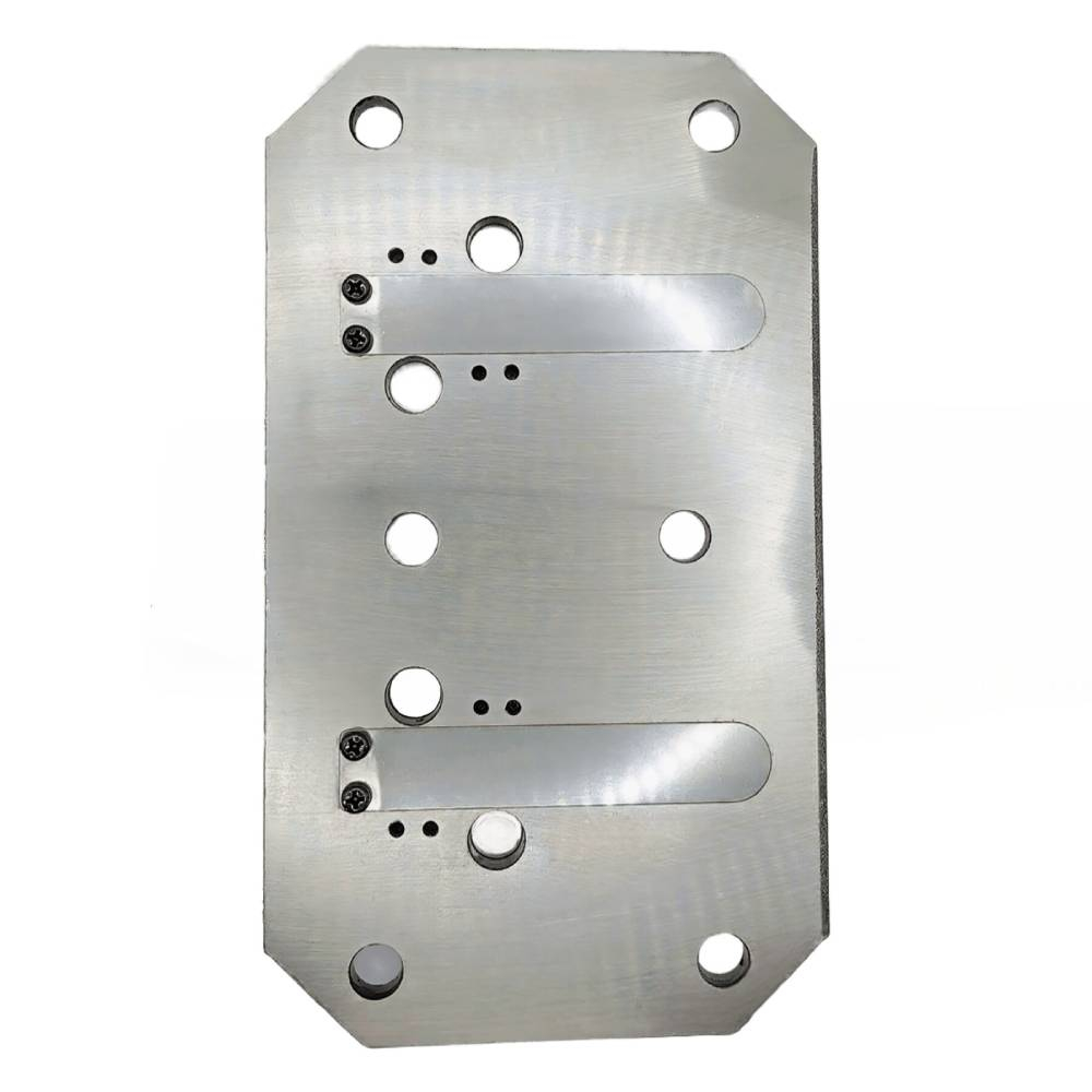 Placa supape completa compresor Airmaster AIR5.5SHU10200 [2]