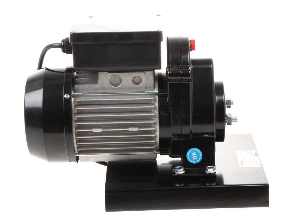 Storcator de rosii electric nr. 5, Reber 9000 N, 600 W, 150-350 kg/h [18]
