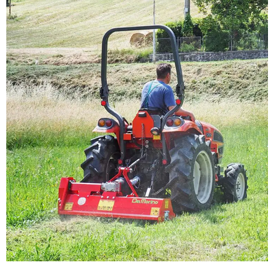 Tocator de vegetatie / Mulcher Del Morino GINGER 96, 96 cm, pentru tractoare 12-30 CP [4]