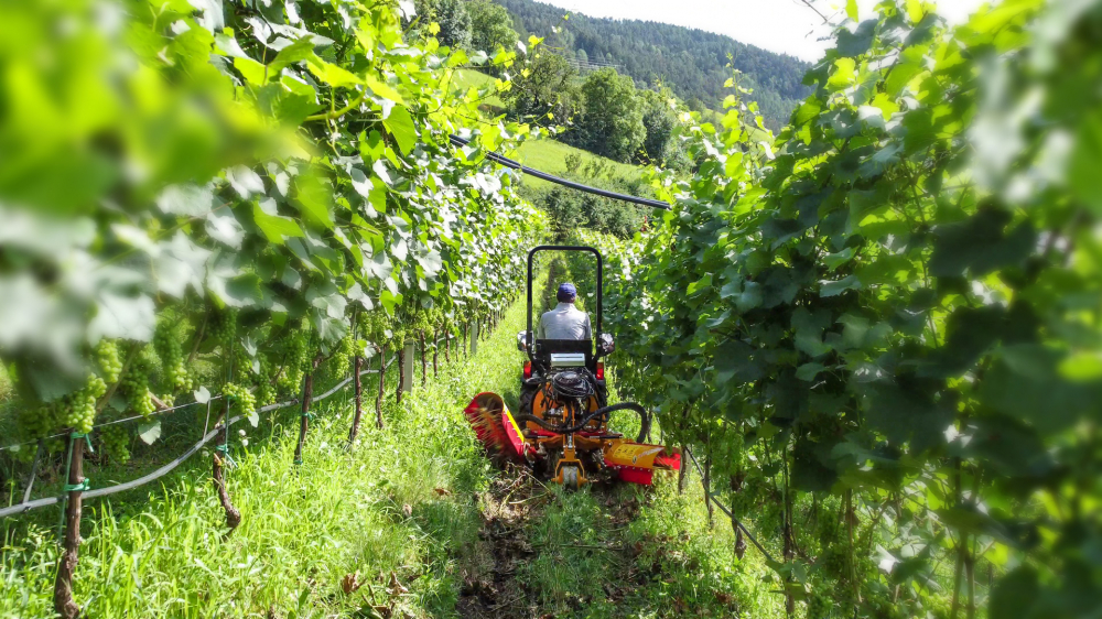 Tractor BCS INVICTUS 35 JUNIOR MICRO AR, 25 CP, diesel, EURO V, 4x4, 8+4 viteze, articulat [10]