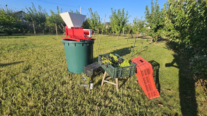 Zdrobitor de struguri cu desciorchinator, manual, TEHNO MS DG07, 300 kg/h [14]
