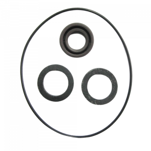 Accesorii vinificatie - Kit garnituri pompa ROVER 20 CE, BE-M 20