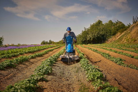 Motocositoare BCS 738 PowerSafe, motor Honda GX270, 9 CP, bara cosire iarba 115 cm Europa Laser [5]