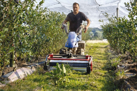 Motocultivator BCS 738 PowerSafe, motor Honda GX270, 9 CP [7]