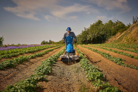 Motocultivator BCS 738 PowerSafe, motor Honda GX340, 11 CP [9]