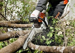 Drujba / Motofierastrau Stihl MS 261, 4.1 CP, 50.2 cmc, 40 cm [3]