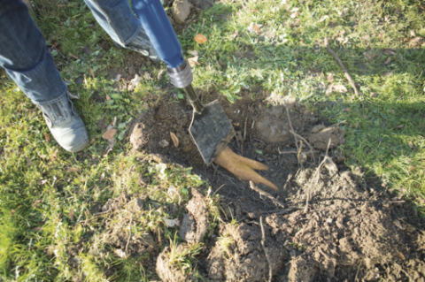 Multifunctional pneumatic 5 in 1 Scheppach AERO 2 SPADE [2]