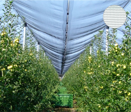 Plasa antigrindina RURIS 35200, HDPE, verde/negru, 4 x 50 m