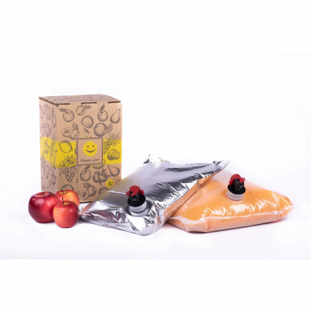 Punga Bag-in-Box, metalizata [1]
