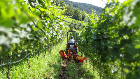 Tractor BCS INVICTUS 35 JUNIOR MICRO AR, 25 CP, diesel, EURO V, 4x4, 8+4 viteze, articulat [9]