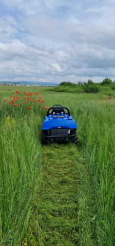Tractoras de tuns si tocat vegetatie BCS MA.TRA 140, 15.2 CP, benzina, 85 cm [4]