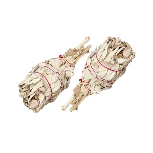 Buchet de salvie alba pentru fumigatii 25-30g [2]